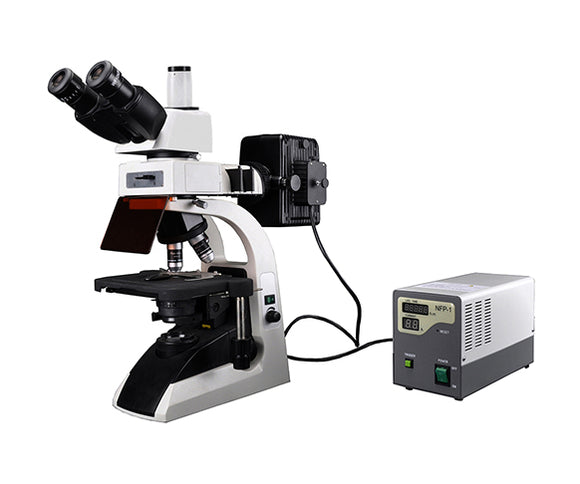 BestScope Fluorescent Biological Microscope BS-2072F